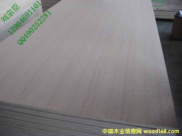 ֱ�y�t�������Ԕ����B