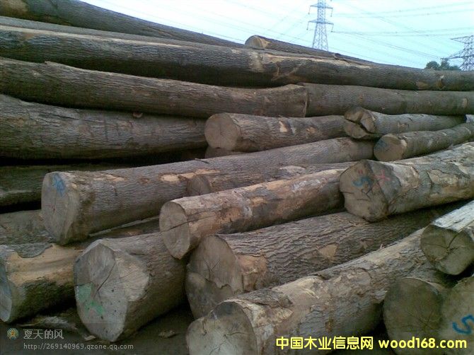 ��Ϟľԭľ��Ԕ����B