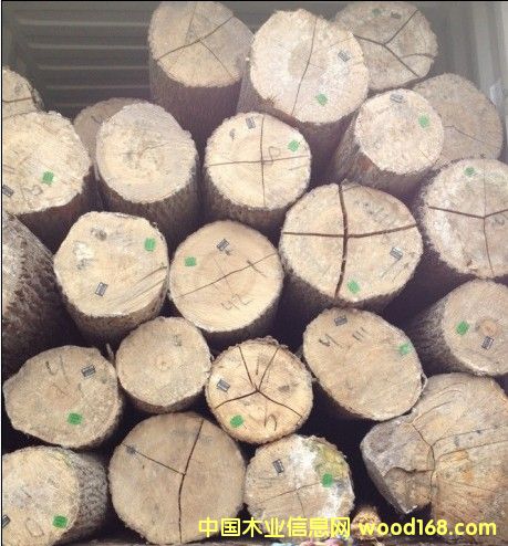 ��Ϟľԭľ��Ԕ����B