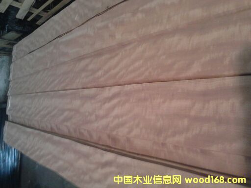 ���������KӰ��Ԕ��(x��)��B