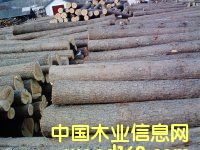 �t��18-30