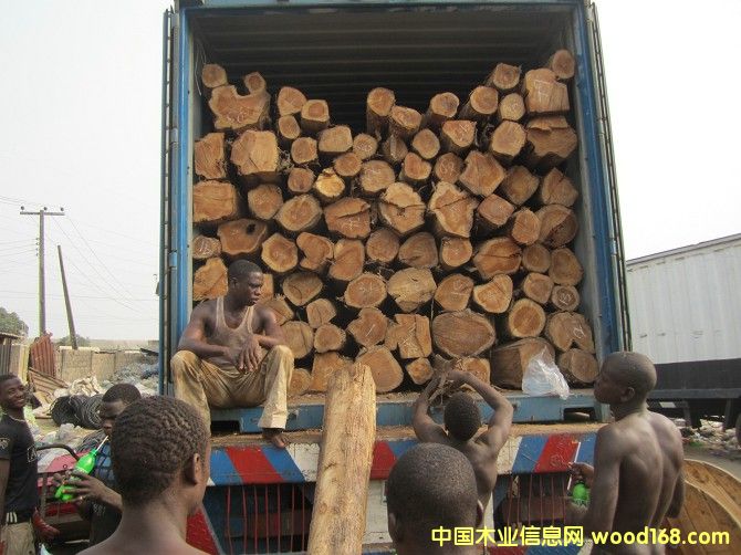 ��ľ��Ԕ����B