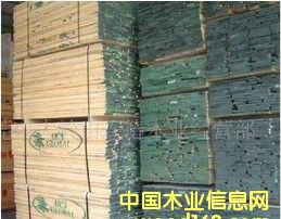 ���������Ԕ����B