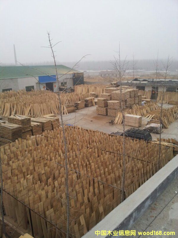 �M�ښW�𣬰�����вĵذ�����Ԕ����B