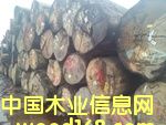 �t�����Ԕ����B