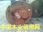 �͵ٵ�Ԕ����B