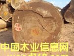 �W����Ԕ����B
