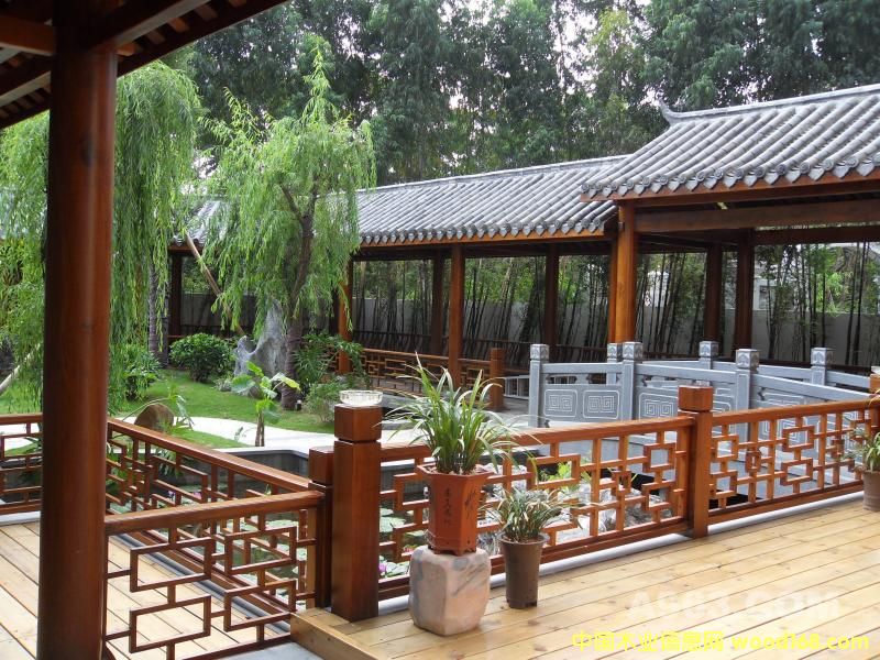 ���Ϸ���ľ��픻��@��Ԕ����B