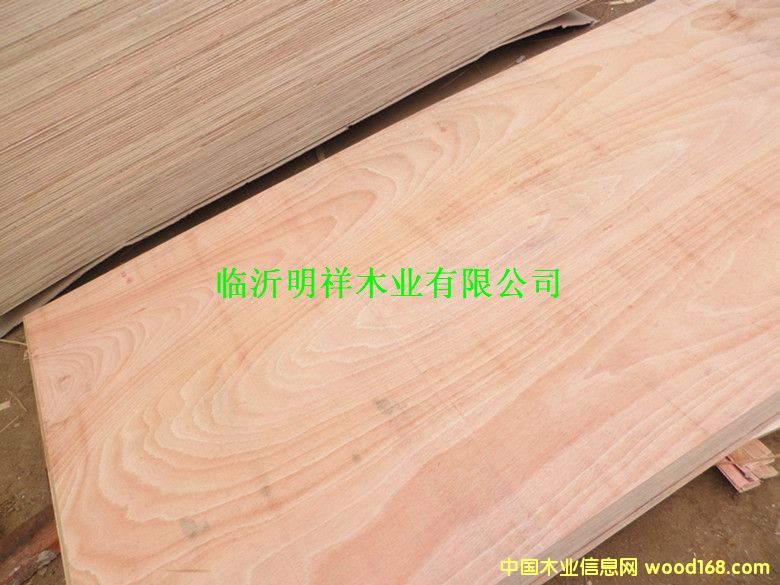 ����5���z�ϰ��Ԕ����B