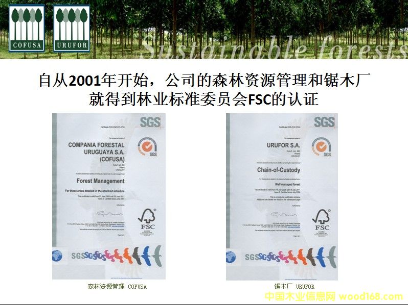 ��������ľ-õ��ľ��Ԕ����B