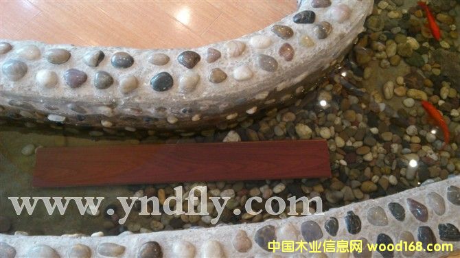 �°l�GԴ �h���ذ��Ԕ����B