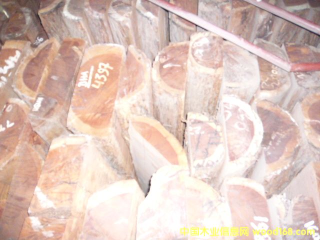 ����֦��Ԕ����B