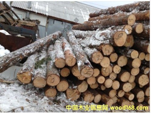 �W��������ԭľС����Ԕ����B