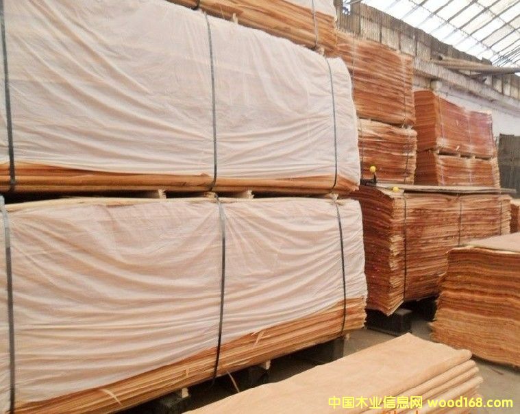 �һ�о��Ƥ������Ԕ����B