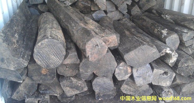 ����ľ��Ԕ����B