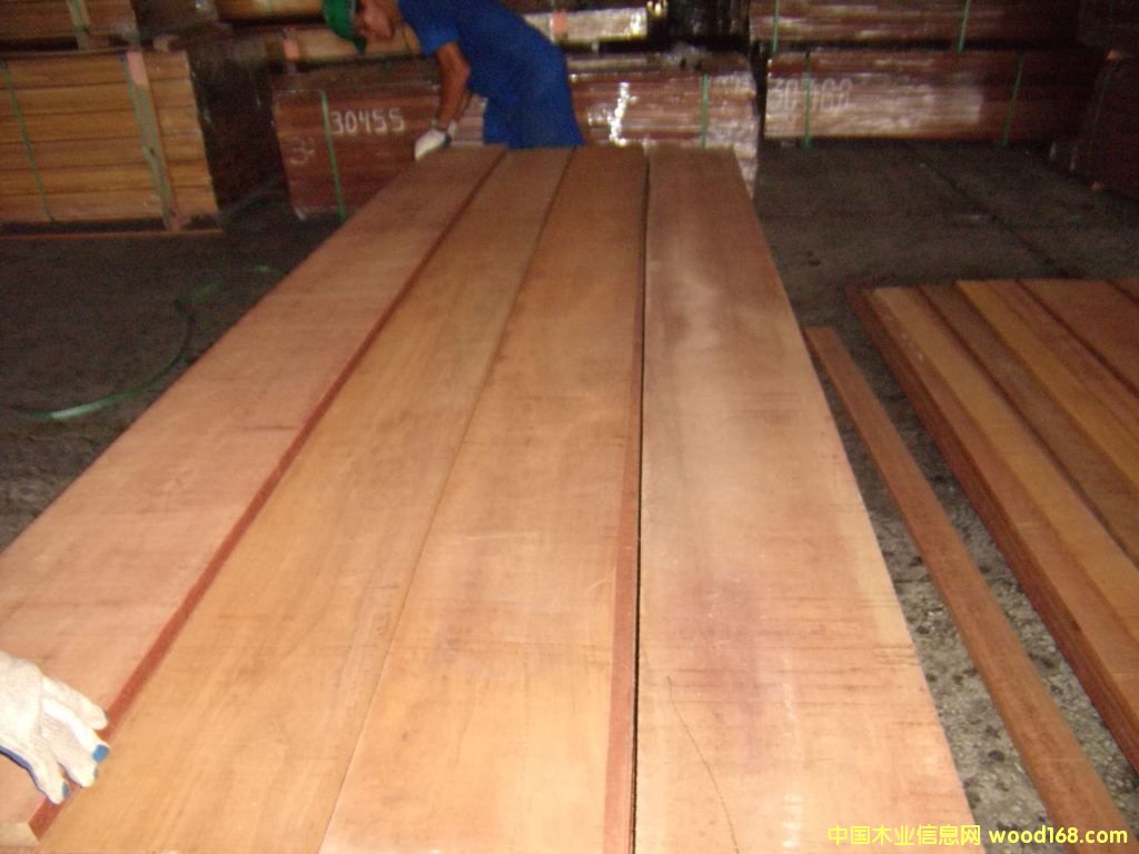 �������棨JATOBA)