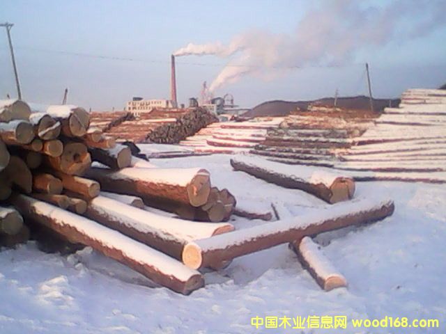 ������ԭľ��Ԕ����B