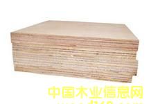 ���Ӱ��Ԕ����B