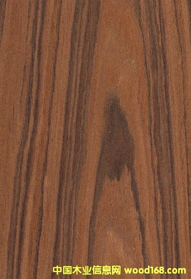 ��֦��Ԕ����B