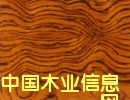 �S��ľƤֱ�N��Ԕ����B