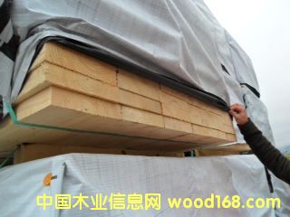 ��ɼ|2013042208