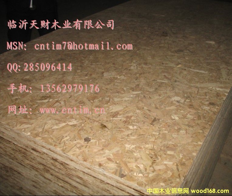OSB�W�ɰ�
