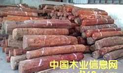 �Ჴ����̴