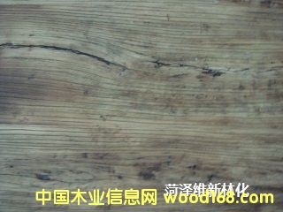 �Ҿ����f̎�턩��Ԕ����B