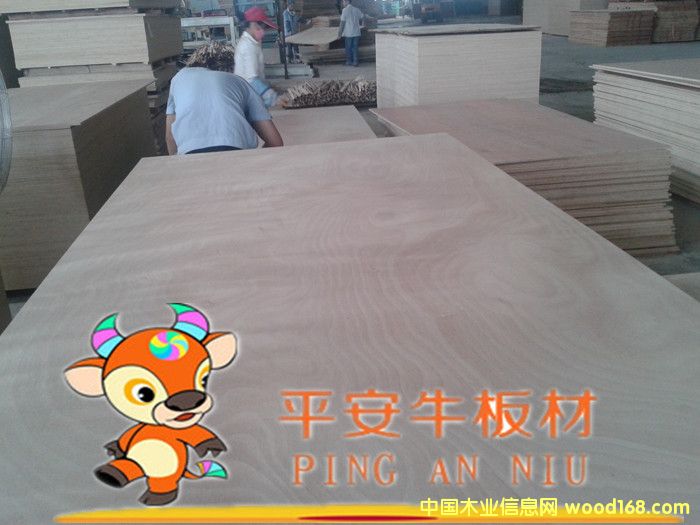 �ߙn�Ҿ߶��Ӱ��������z�ϰ�����ľ�N����Ԕ����B