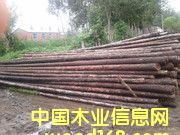 ��ľ�U��Ԕ����B