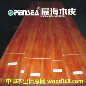 �t̴ľƤ��Ԕ����B