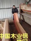 ɳ����ľƤ��Ԕ����B