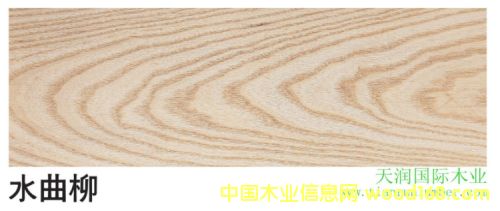 [��] ˮ���� White Ash 