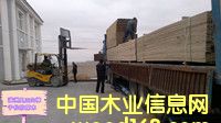 ��(n��i)�ɹ������ɷ���ľ���̓r(ji��)13947035843��Ԕ��(x��)��B