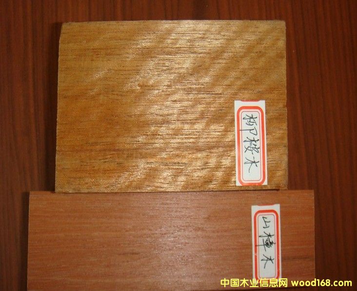 ����ľ��Ԕ����B