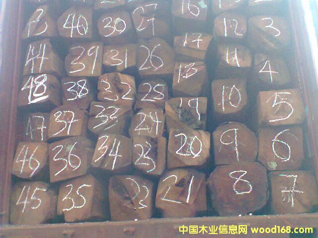 ������ľ��Ԕ����B