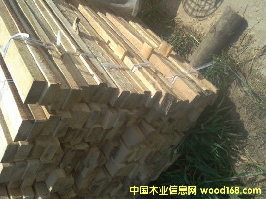 �c(di��n)���鿴���K��ľ����ľ�l�Ŵ�DƬ