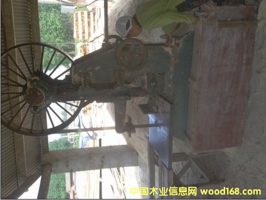 �c(di��n)���鿴��ľ������ľ�l�Ŵ�DƬ
