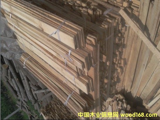 �c(di��n)���鿴��ľ�l����ľ���Ŵ�DƬ