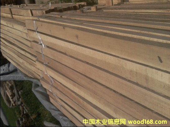 �c(di��n)���鿴���ľ�l�Ŵ�DƬ