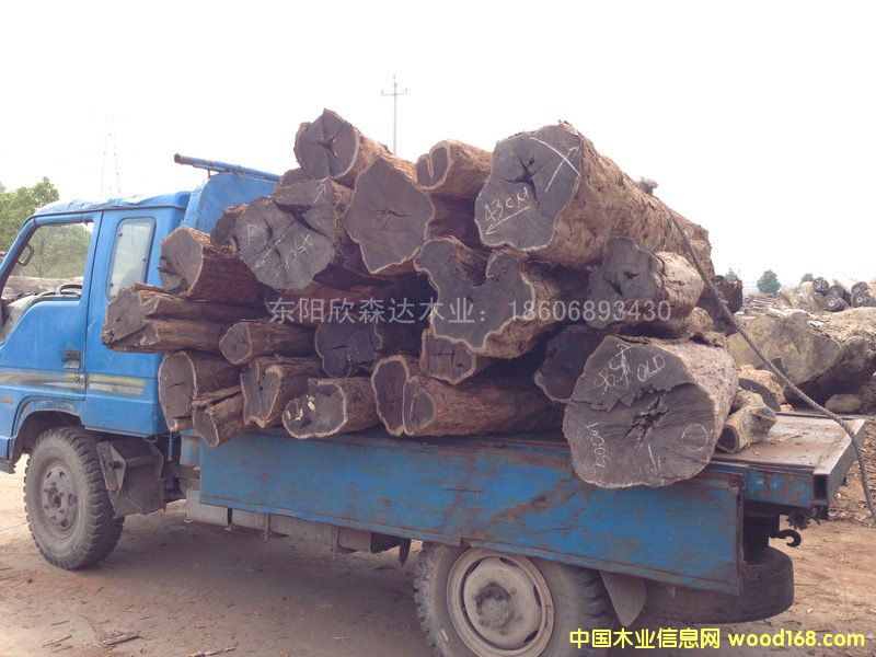 �Ϲ�̴(�|�Ǻ��S̴)1309-8��Ԕ����B