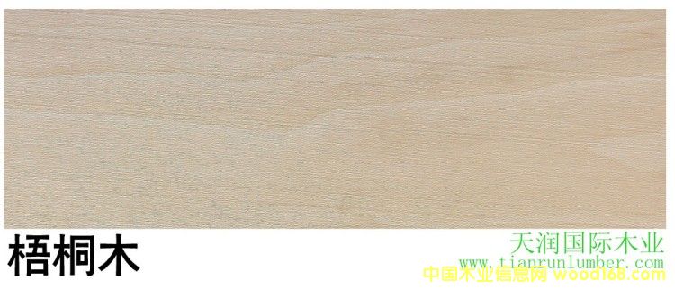 ��ͩľ Sycamore
