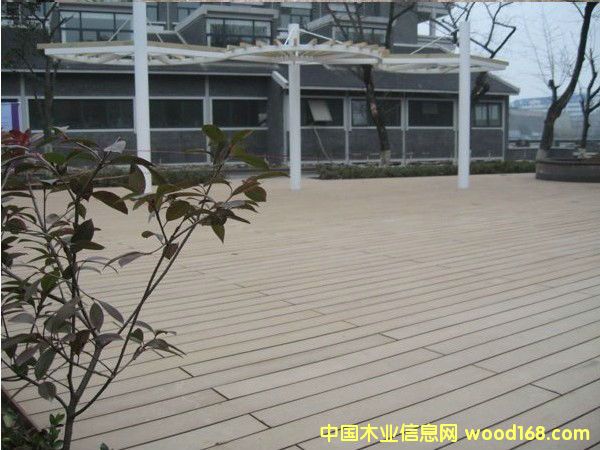 ����ذ��Ԕ����B