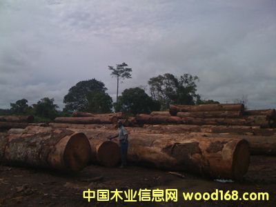 �W�� OKAN��Ԕ��(x��)��B