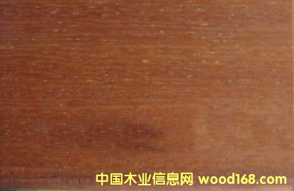 [��] �������}�����ľ