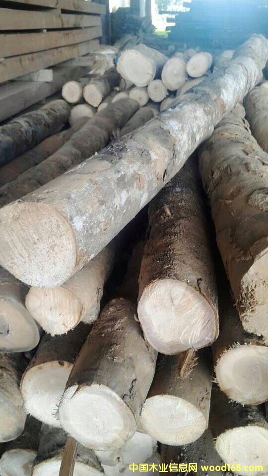 ʯ��ľ��Ԕ����B