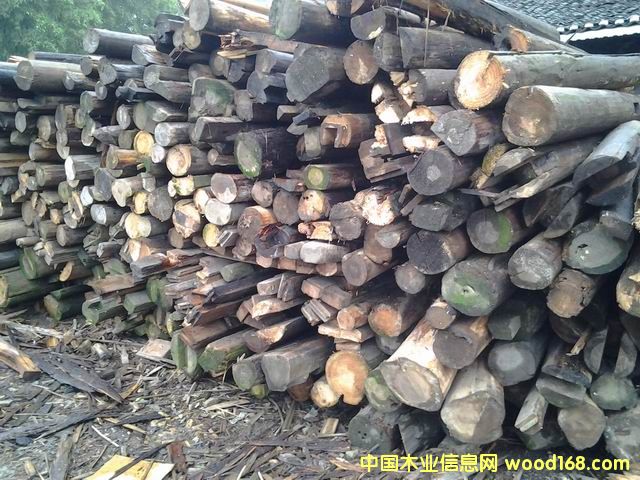 2�������f������������Ԕ��(x��)��B