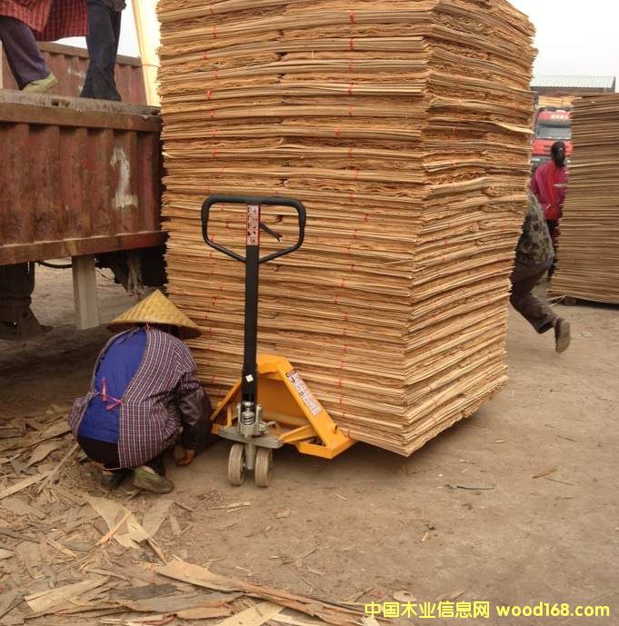 ��ľ�ΰ��Ԕ����B