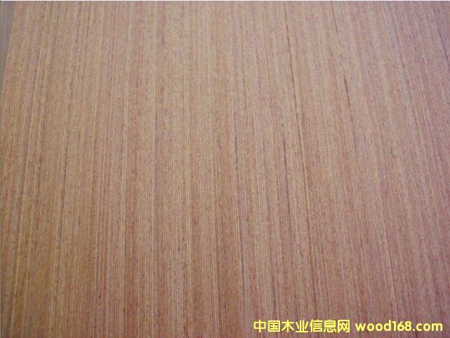 ����(y��ng)EV���y��ľ��ľƤ��Ԕ����B