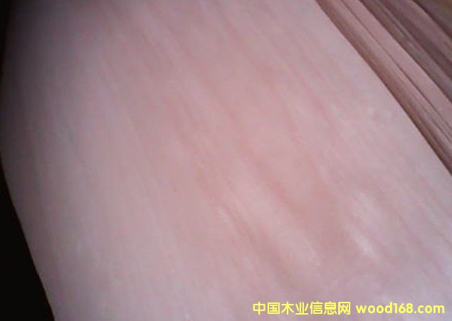 �sľ�ȸ��N�ΰ��Ԕ����B